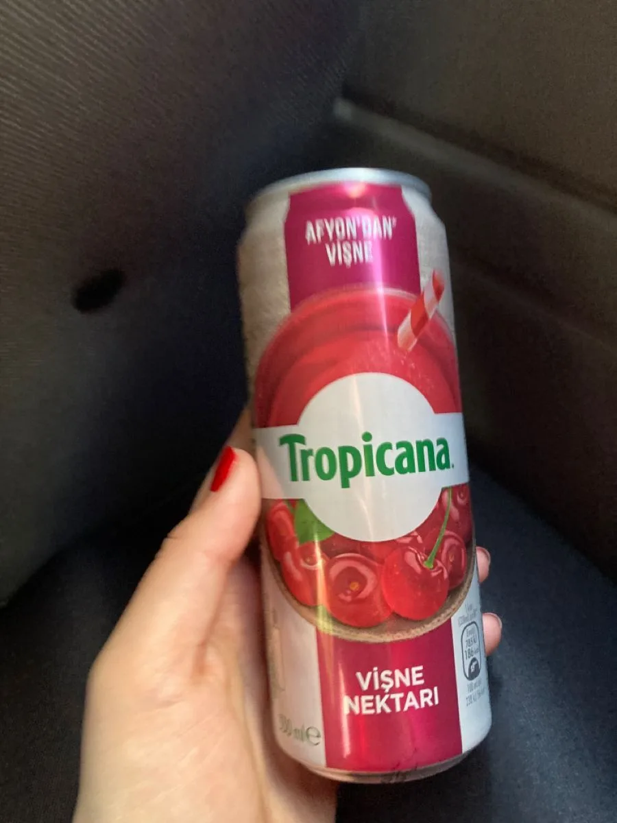 Torpikana meyvesuyu kutu